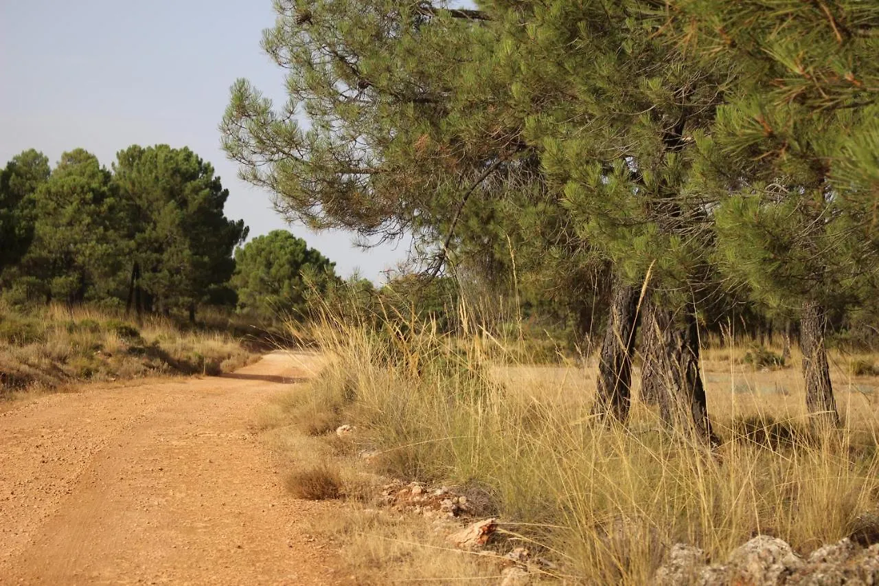 Esencia Lodge - Luxurious Off-Grid Cabin Retreat Almunecar Spain
