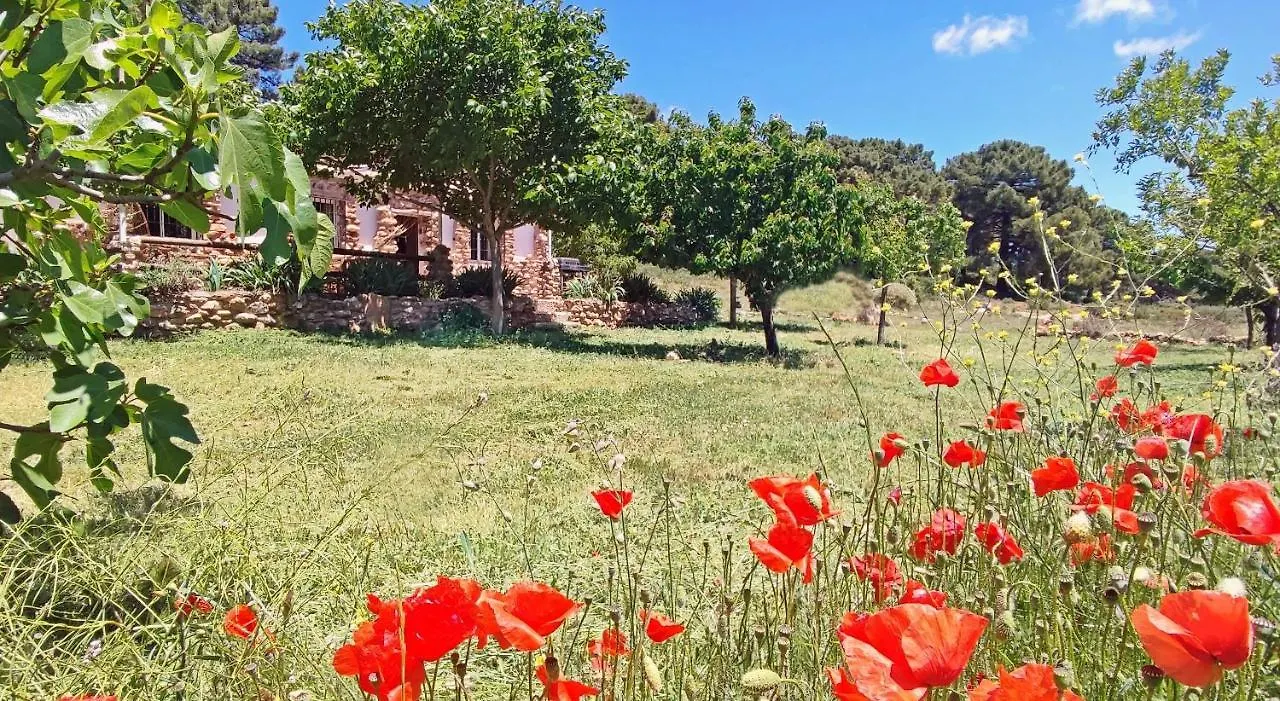 Esencia Lodge - Luxurious Off-Grid Cabin Retreat Almunecar